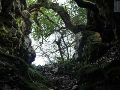 L'ingresso della grotta Albero di Sole